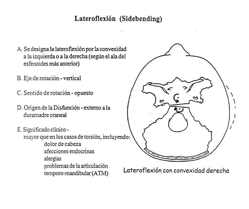 16-Lateroflexión