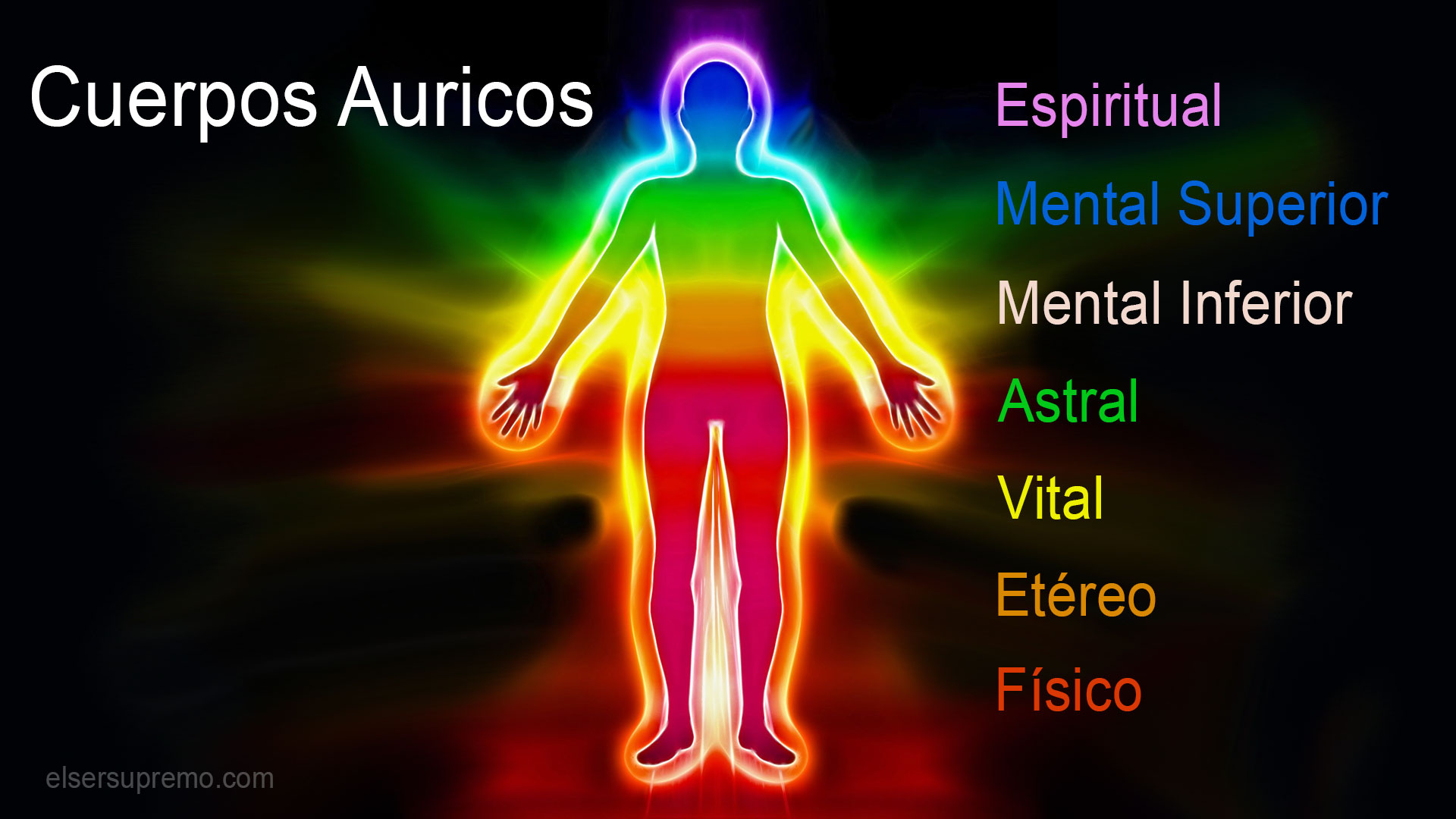 Energía humana y enfermedad